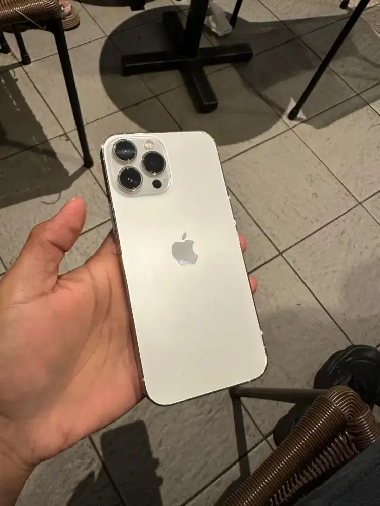 iPhone 13 Promax