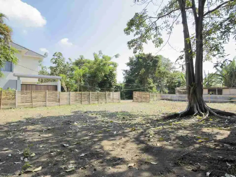 dijual tanah 6 are IDR 800 juta per are dikesiman denpasar timur