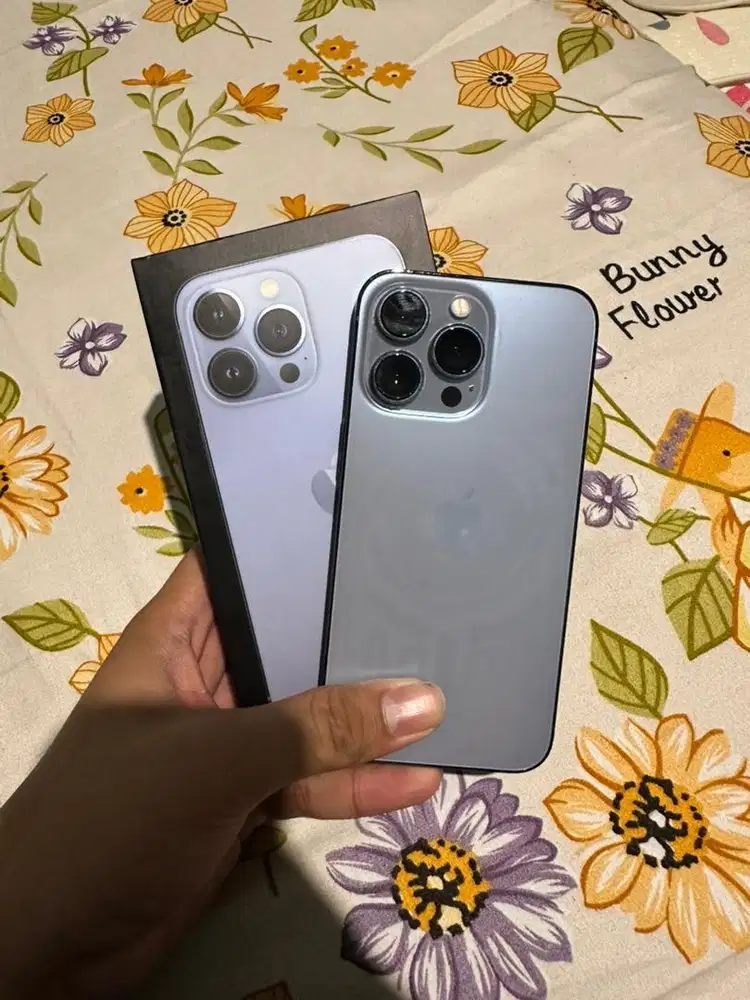 Iphone 13 pro 256gb beacukai