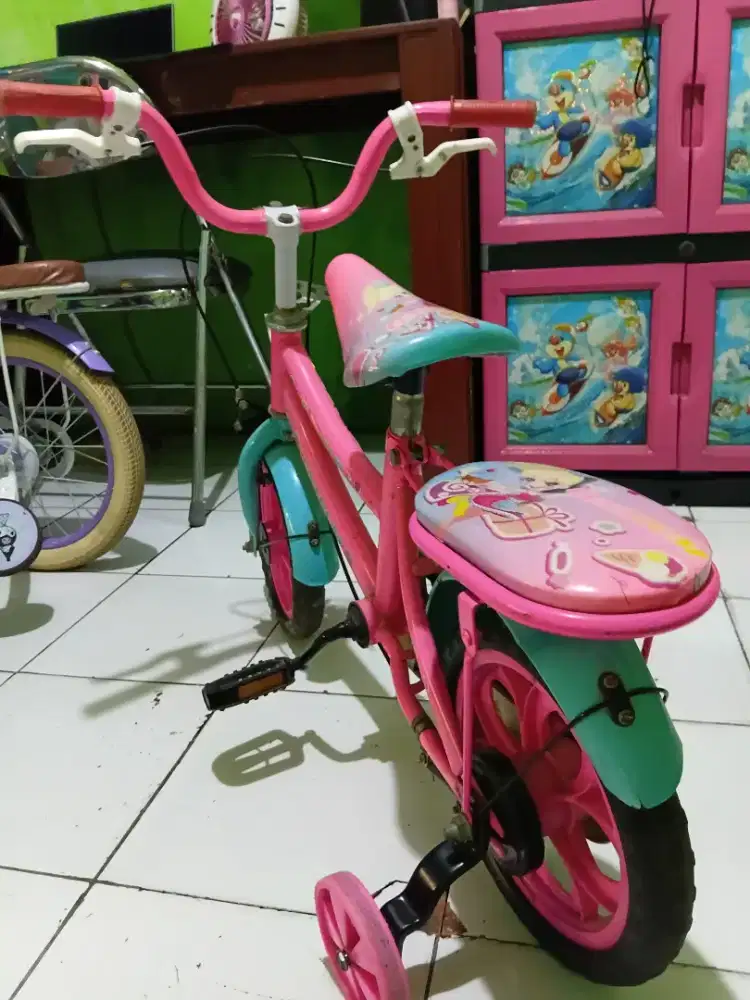 Jual sepeda anak bekas