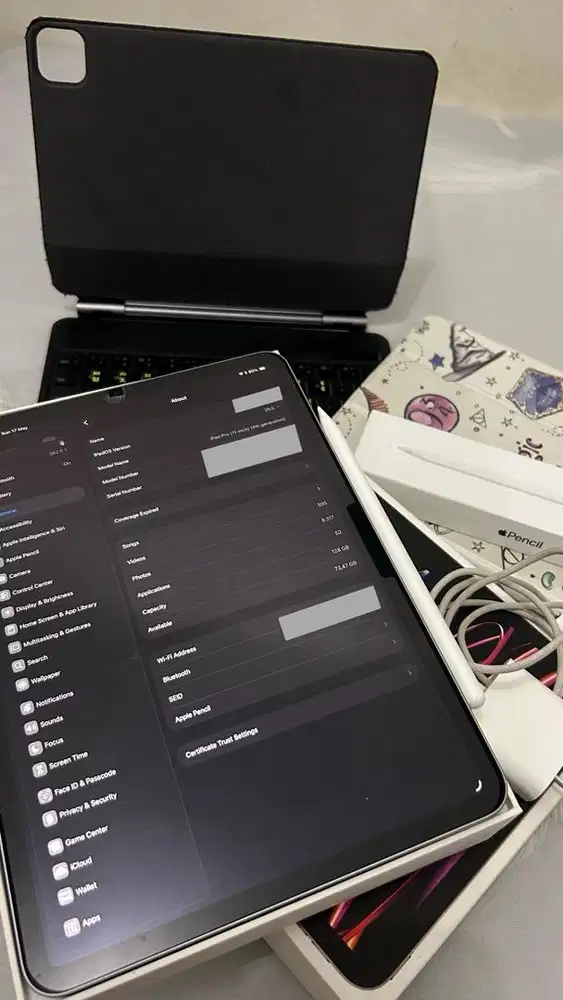 iPad Pro M2 11 inch 128GB Wi-Fi Only Space Gray Paket Apple Pencil 2