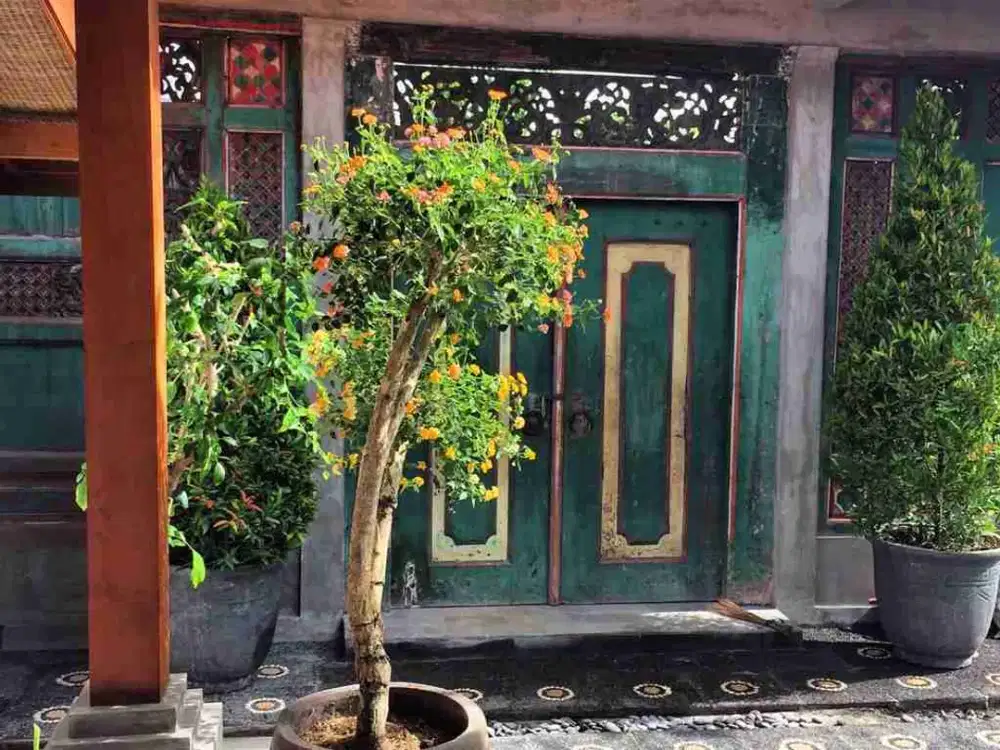 CLASSIC VILLA IN TUKAD BADUNG RENON