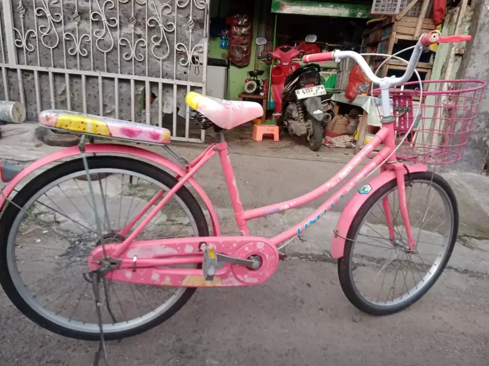 Dijual sepeda mini ring 24 kondisi siap pakai
