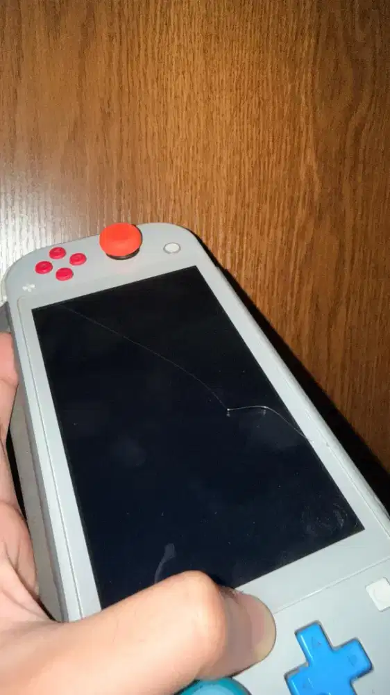 Nintendo switch lite (Nego)