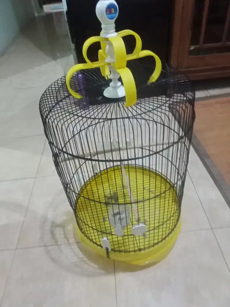 Sangkar burung murai besi F1