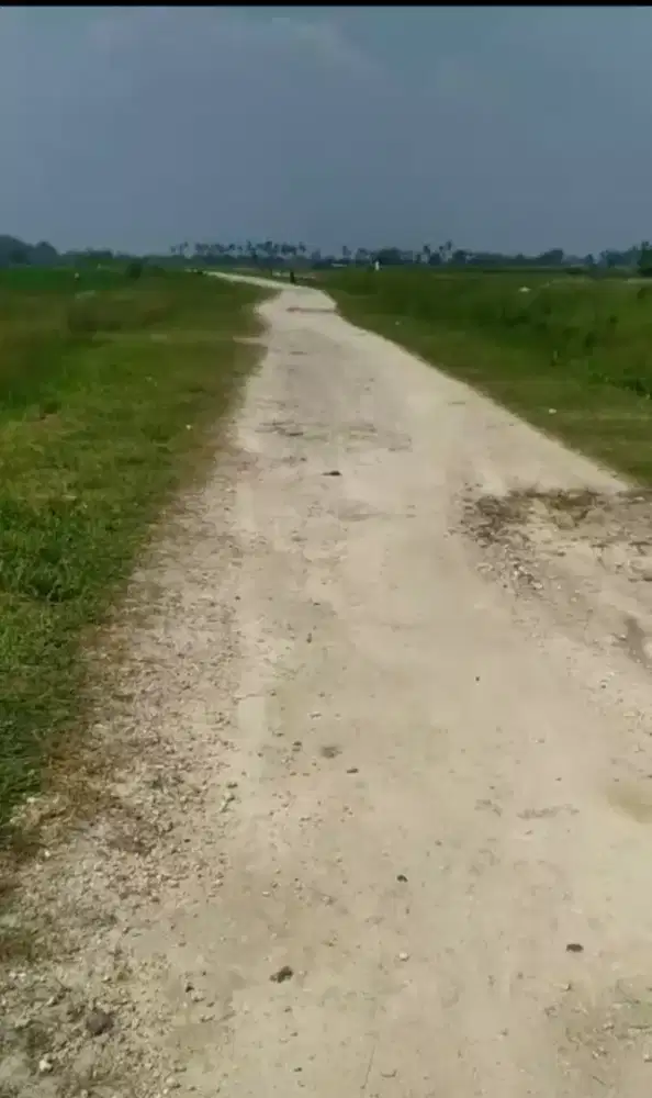 DIJUAL LAHAN 40 HEKTAR, TANJUNG LESUNG, PANIMBANG, BANTEN