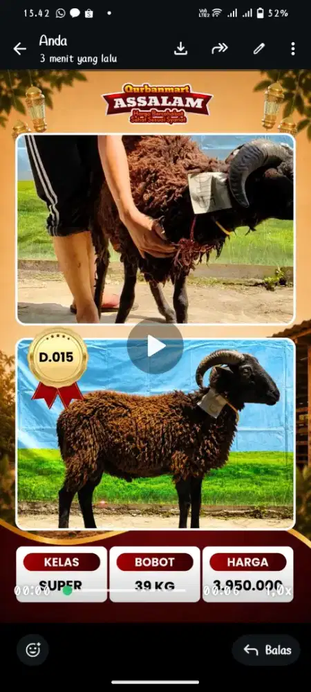 HEWAN QURBAN BISA NEGO GRATIS ONGKIR