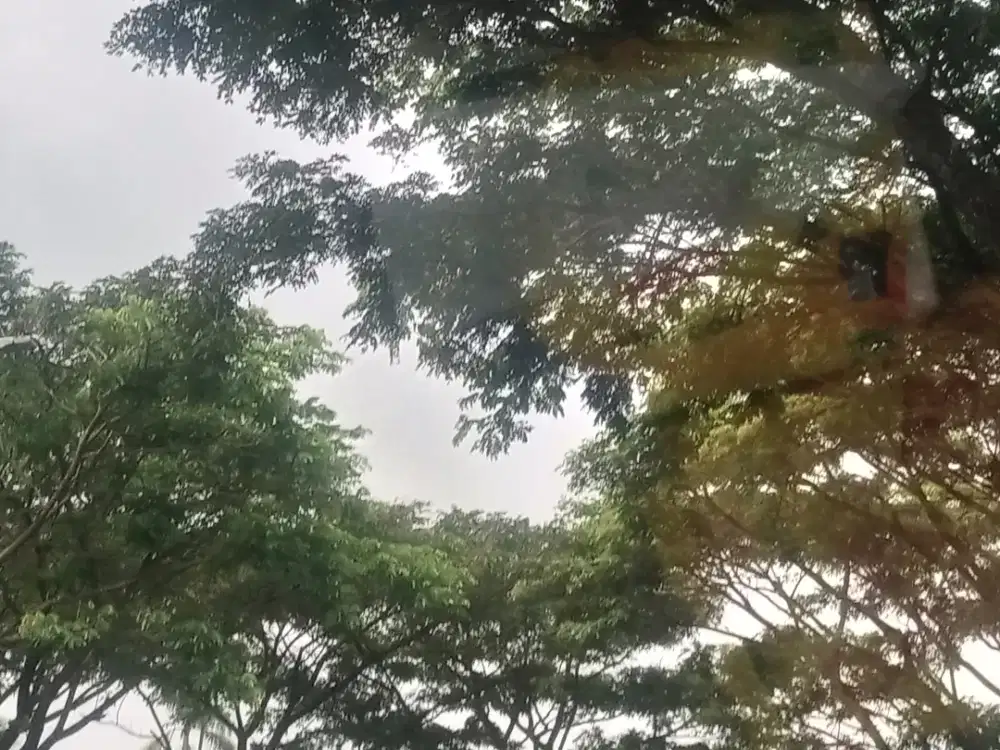 Cari asisten rumah tangga (laki-laki, muda, sholeh)