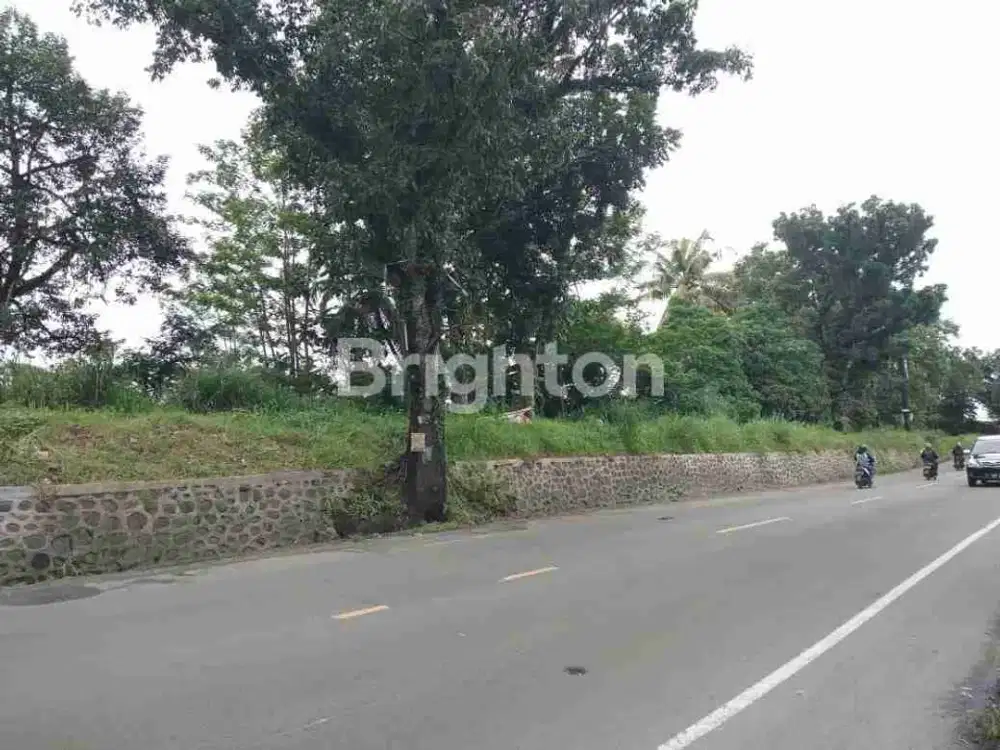 Tanah Strategis pinggir jalan Dramaga