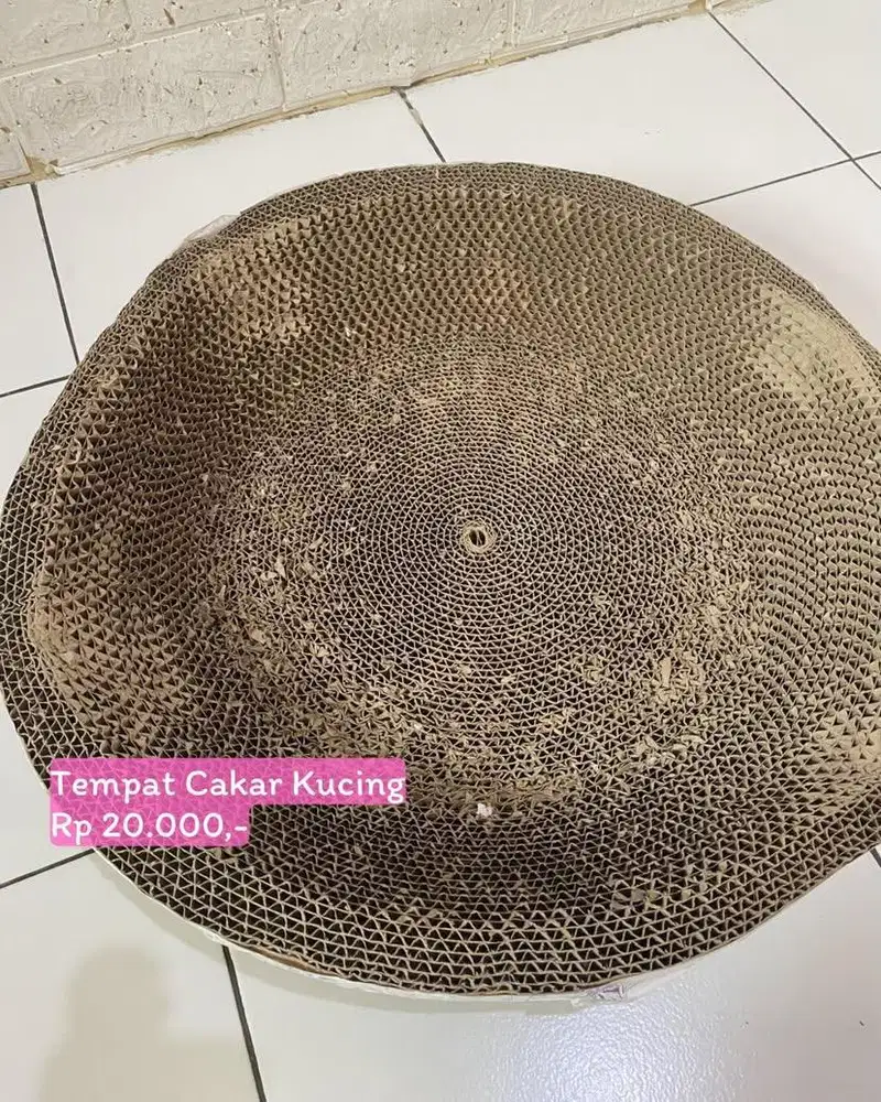 Tempat Anabul (kucing)