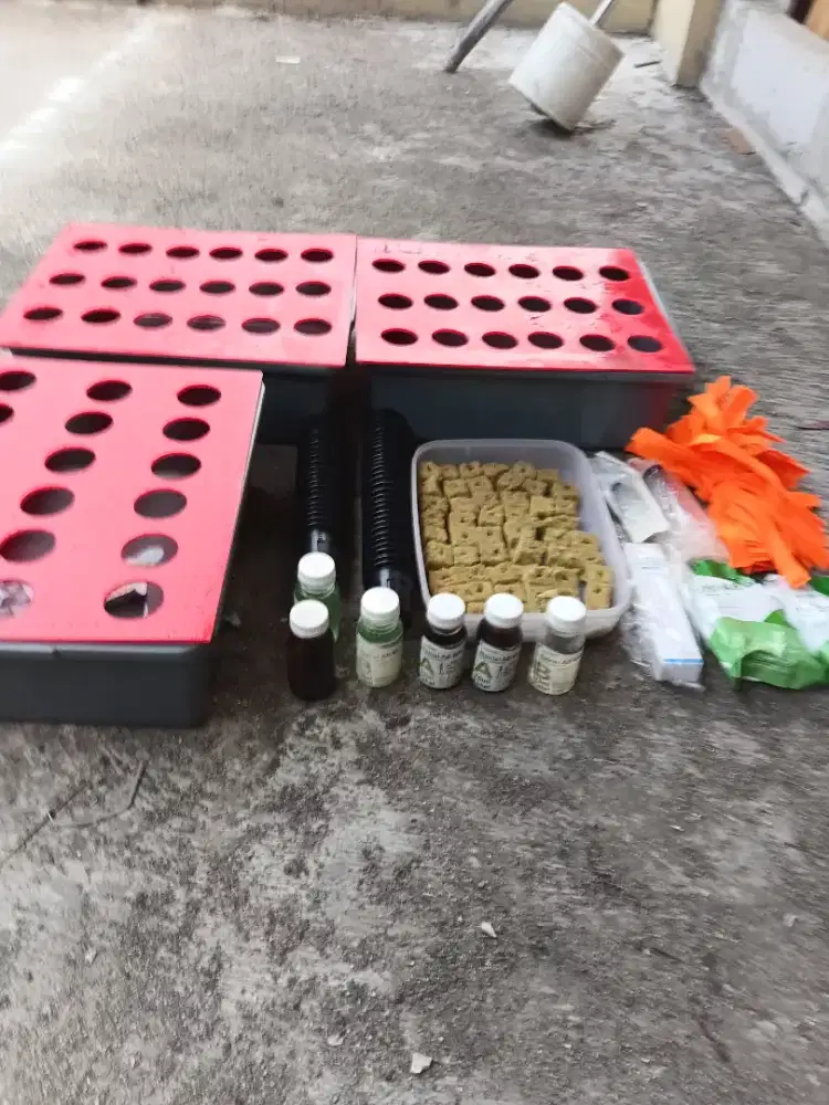 1 set menanam hidroponik +benih