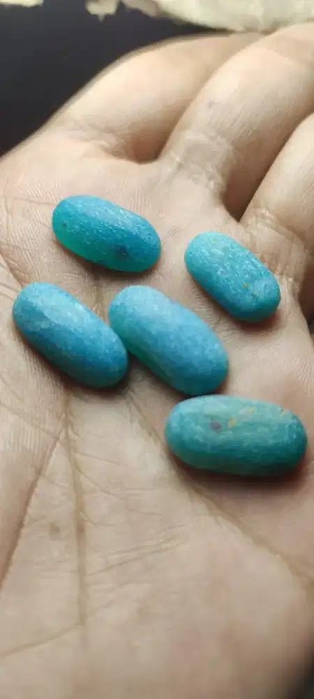 Bahan Bacan Doko Halmahera Asli (5 Pcs) – Jaminan Original