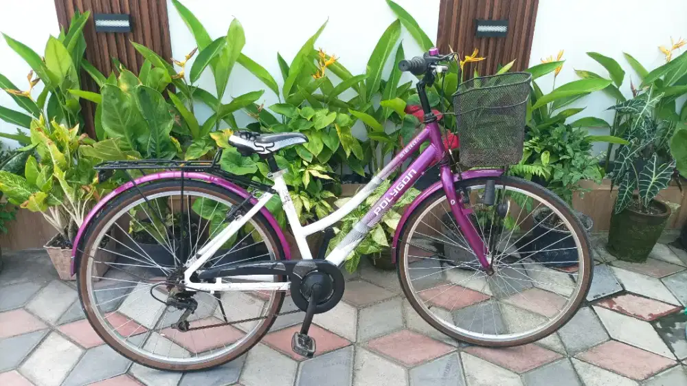 Polygon Sierra frame alumunium bagus
