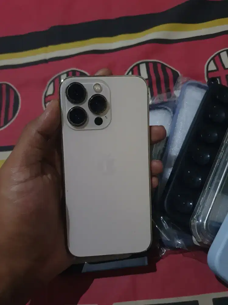 Iphone 13 Pro Ex Inter All Operator