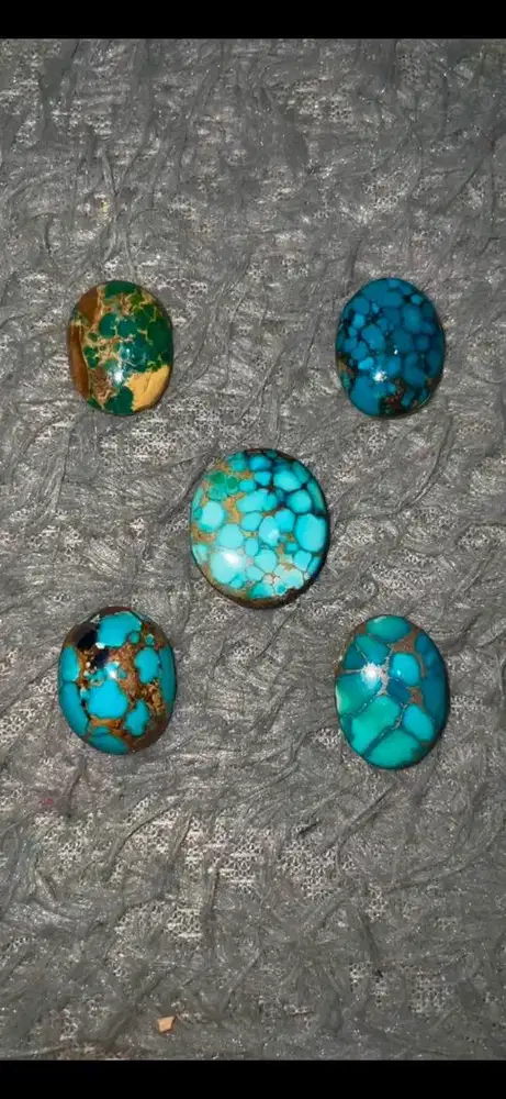 Pirus Persia & Hubei Lawasan