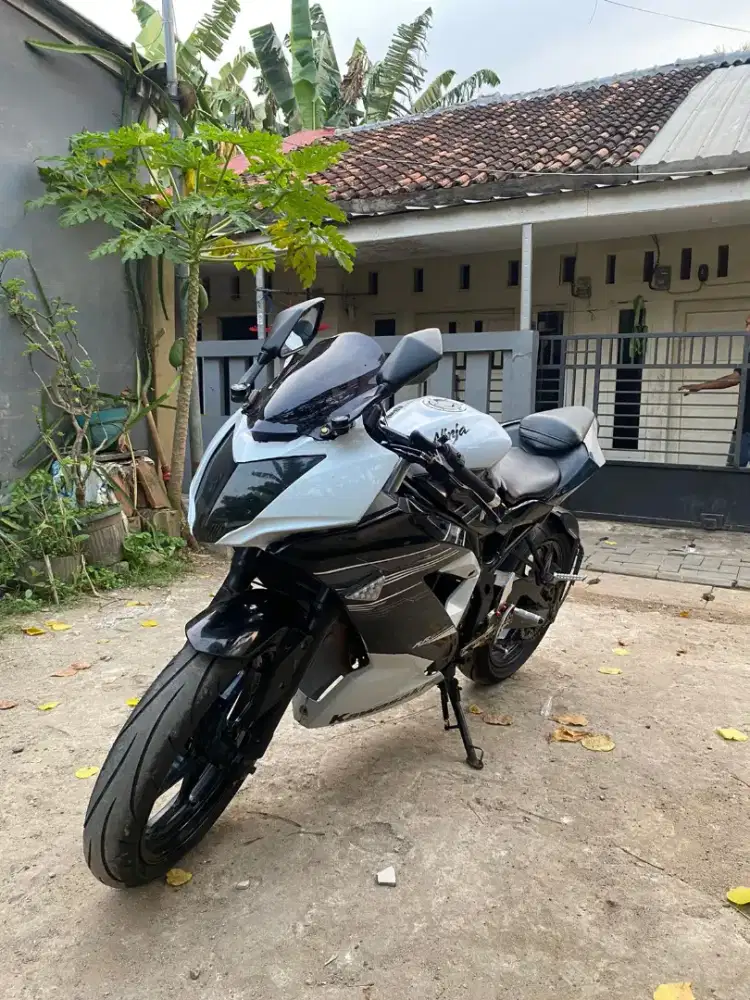 KAWASAKI NINJA MONO 250SL