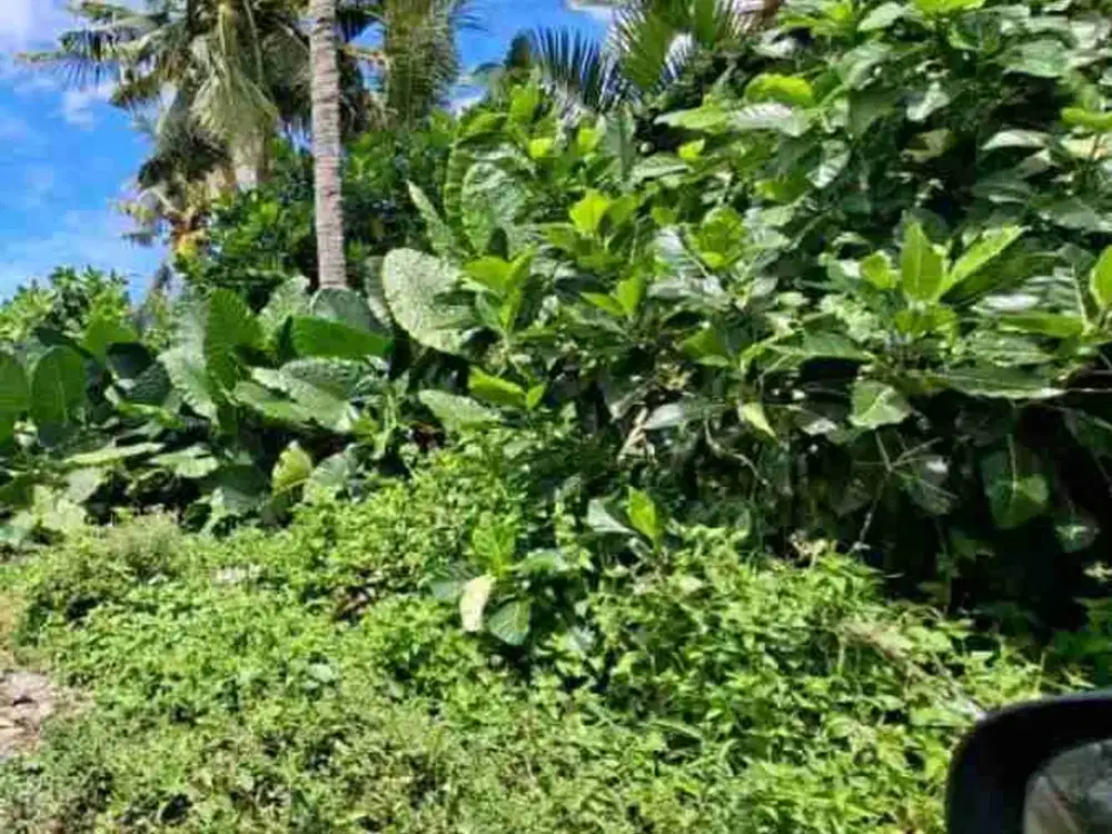 Tanah Lodtunduh Ubud Gianyar Bali - Thumbnail 3