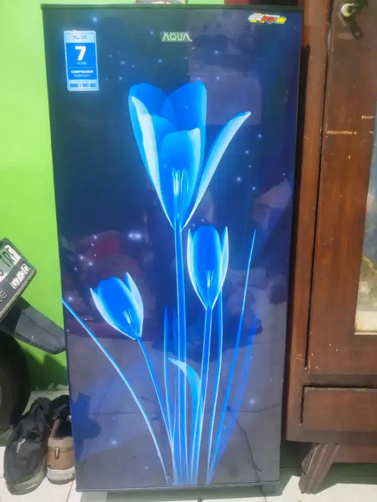 Kulkas AQUA 1 pintu