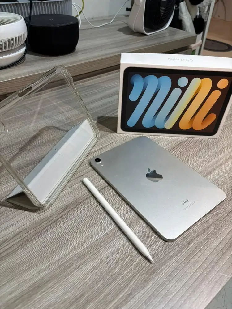 Ipad mini (6th gen) murmer