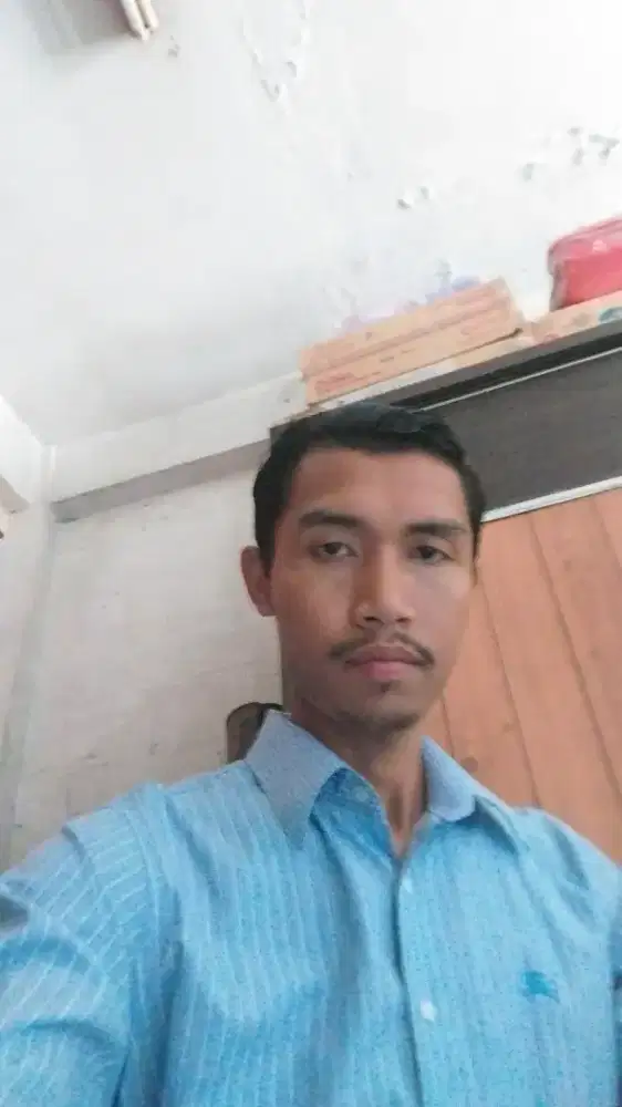 Saya sedang mencari supir pribadi