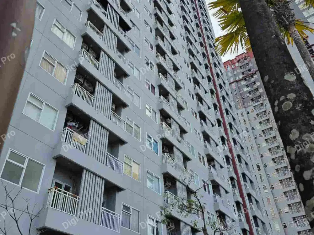 Jual Cepat Vida View Apartemen Type 2 Kamar, Harga Termurah