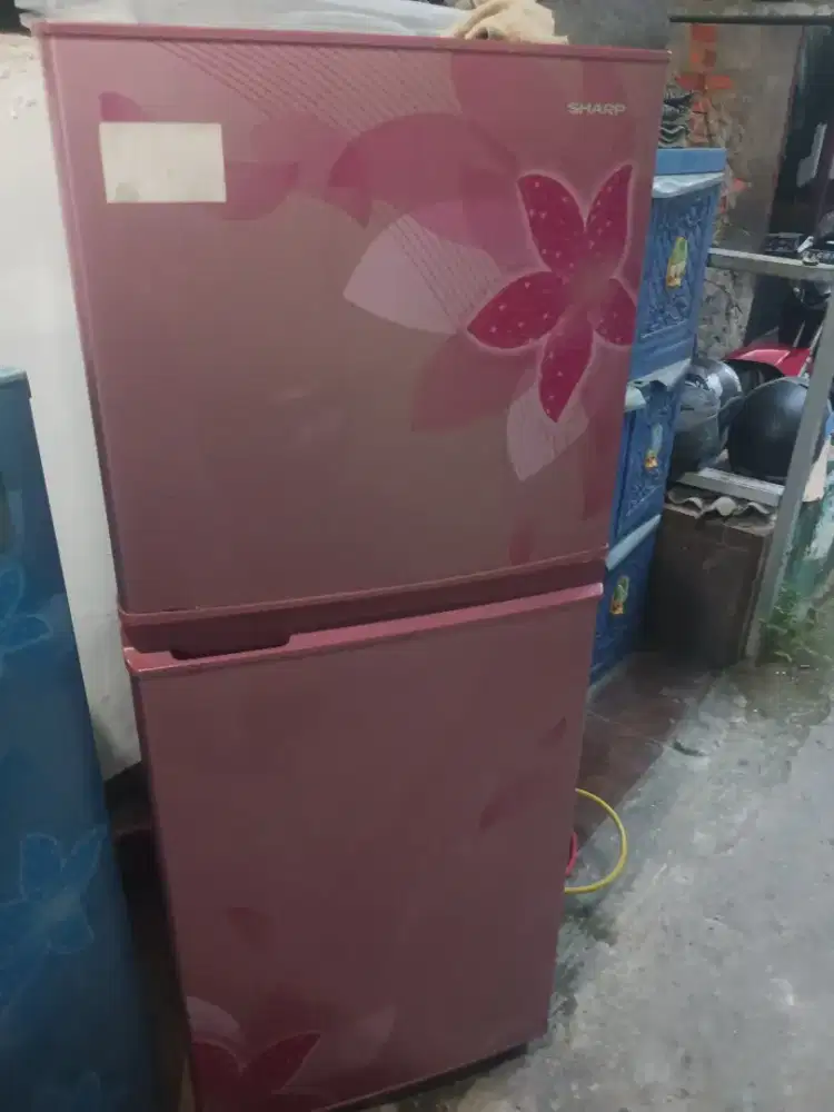 Kulkas sharf 2 pintu