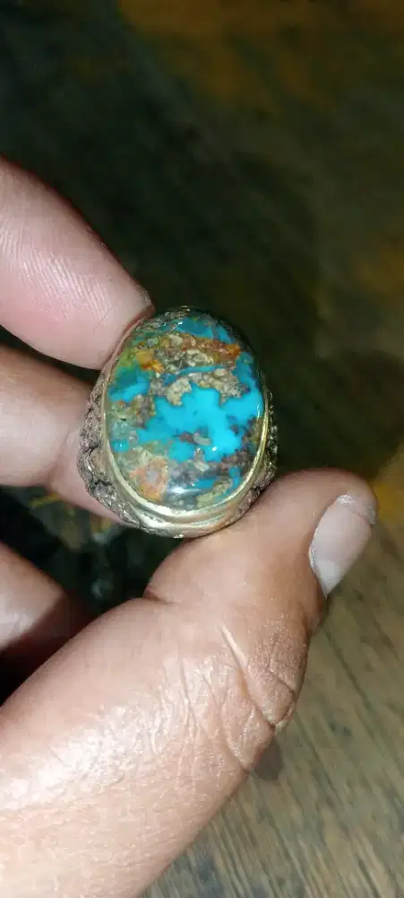 Cuncin pirus persia