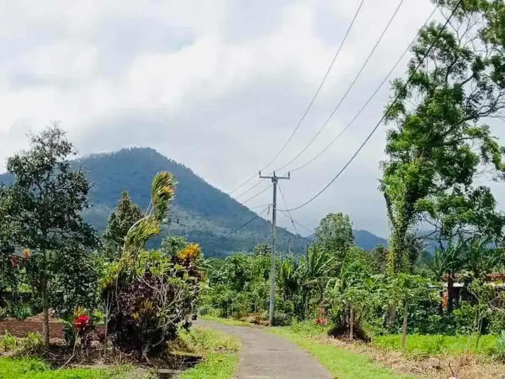 jual tanah kontur datar view gunung lembah dan kota,di tabanan bali