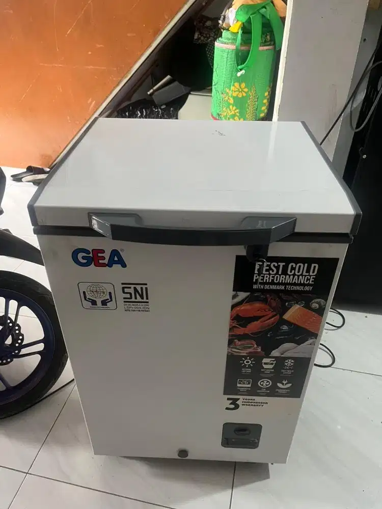 Freezer GEA 100L