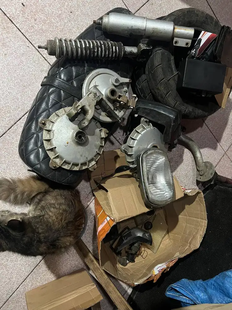 Porx bekakas vespa