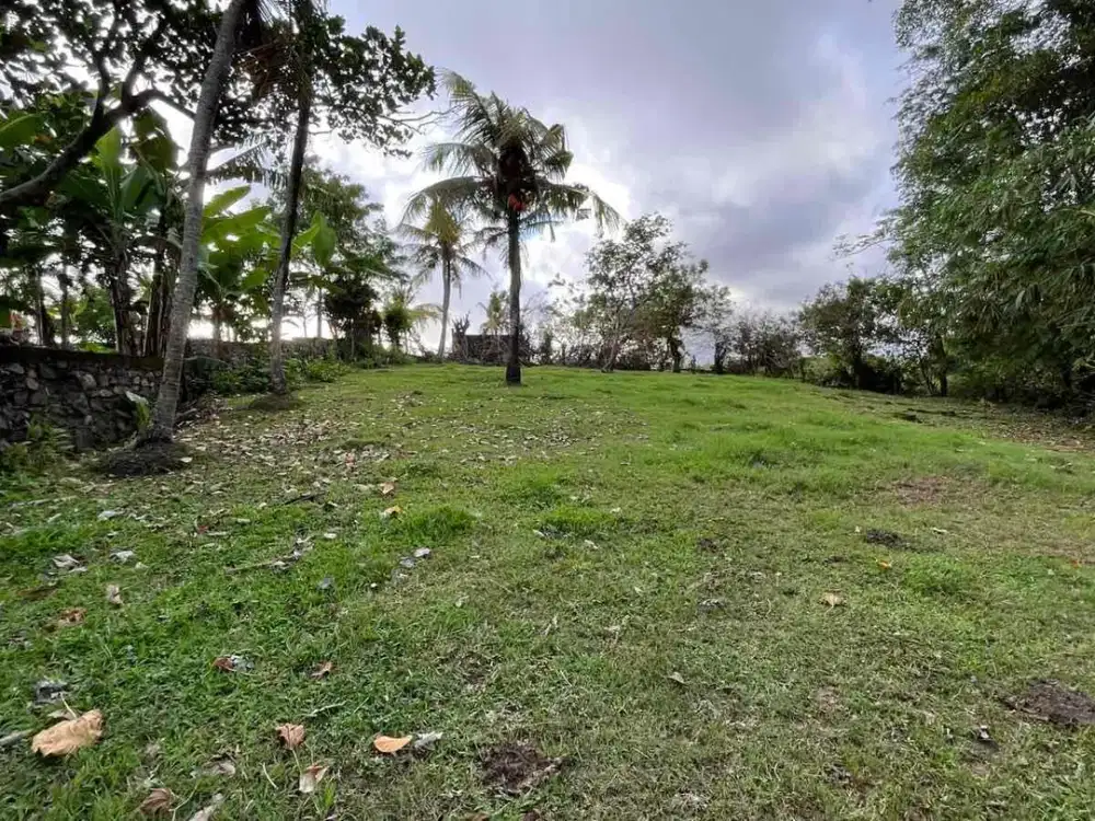 jual tanah zona kuning view sawah dan laut,harga murah di taban bali.