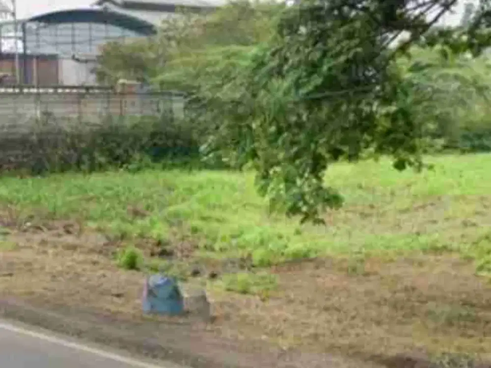Dijual Tanah Jalan Raya Domas, Menganti, Gresik