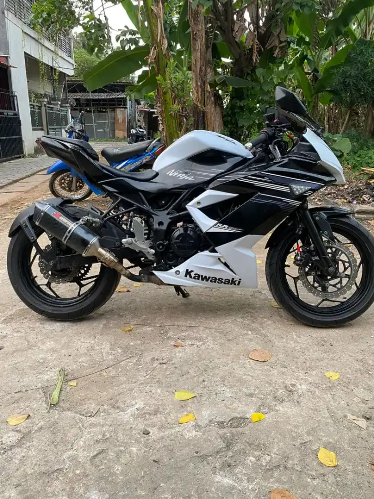 KAWASAKI NINJA MONO 250SL
