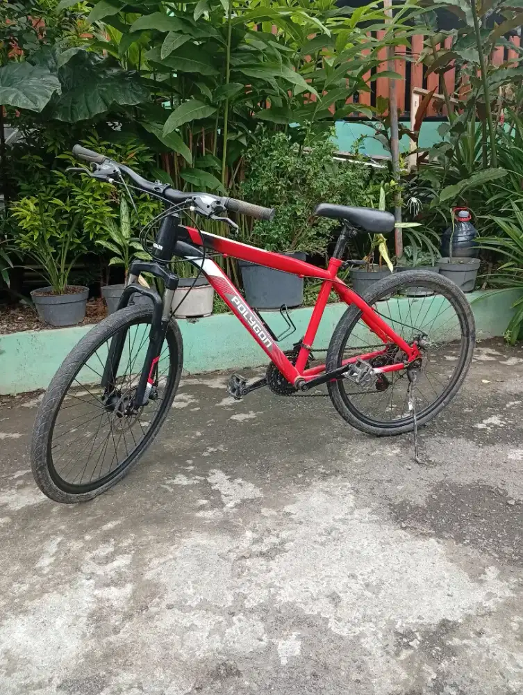 Sepeda gunung MTB Polygon