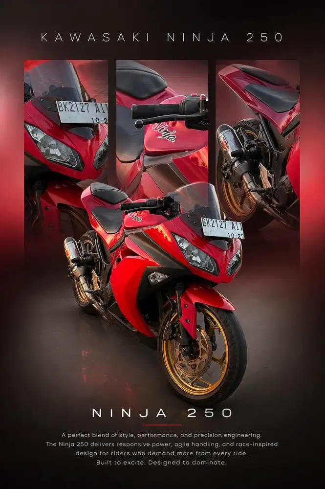 Kawasaki ninja 250 fi 2013
