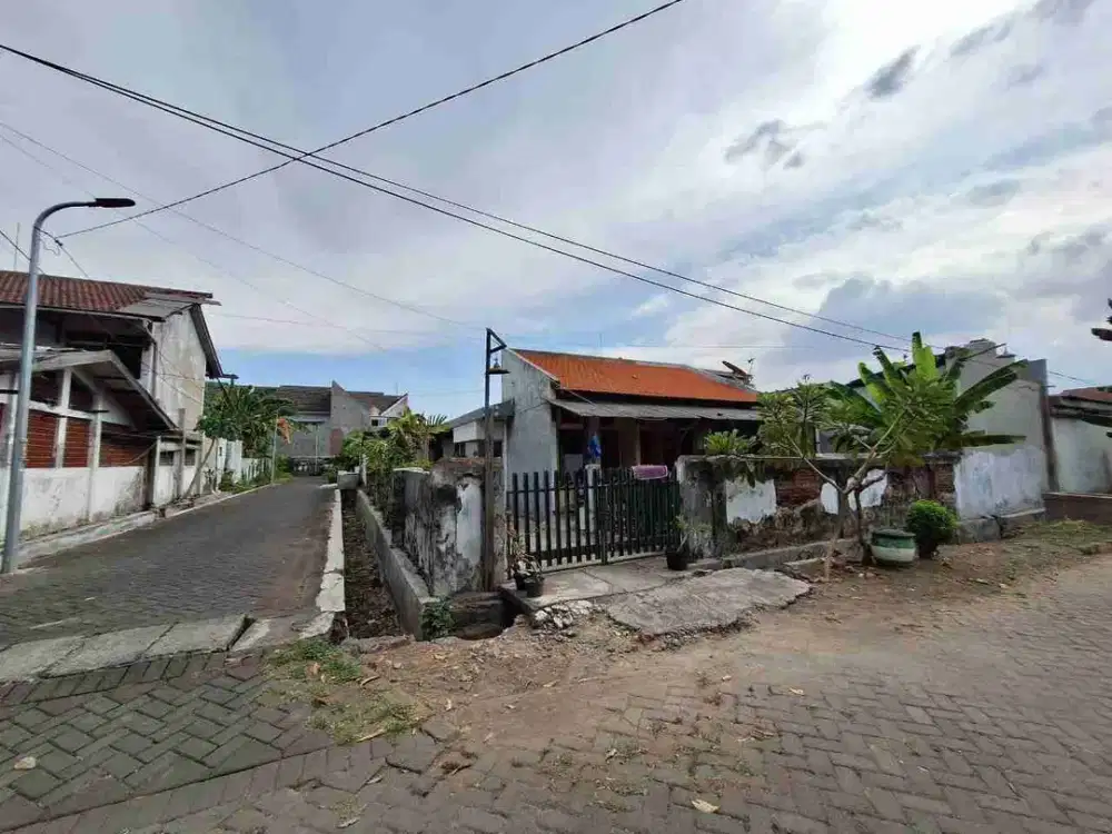 RUMAH KOS AKTIF HOOK HITUNG TANAH GAYUNGSARI DEKAT UK PETRA