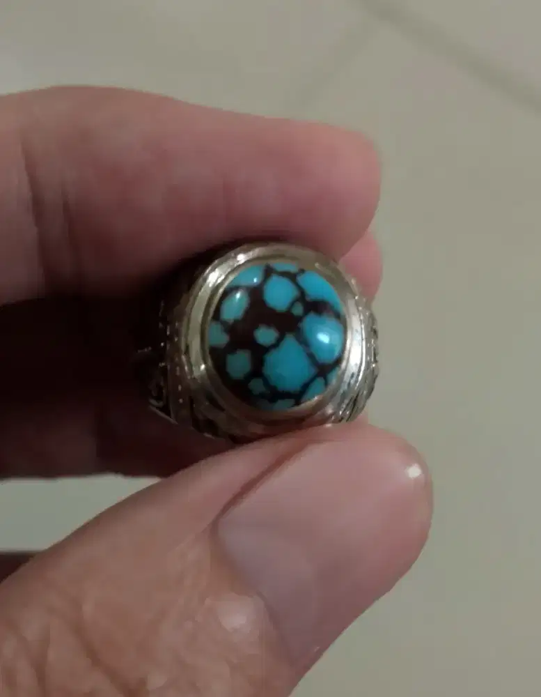 pirus mesir ceplok kuro blue fancy