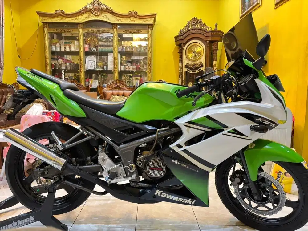 Kawasaki Ninja R RR RX King