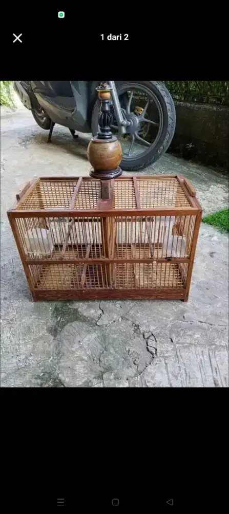 Kandang prenjak