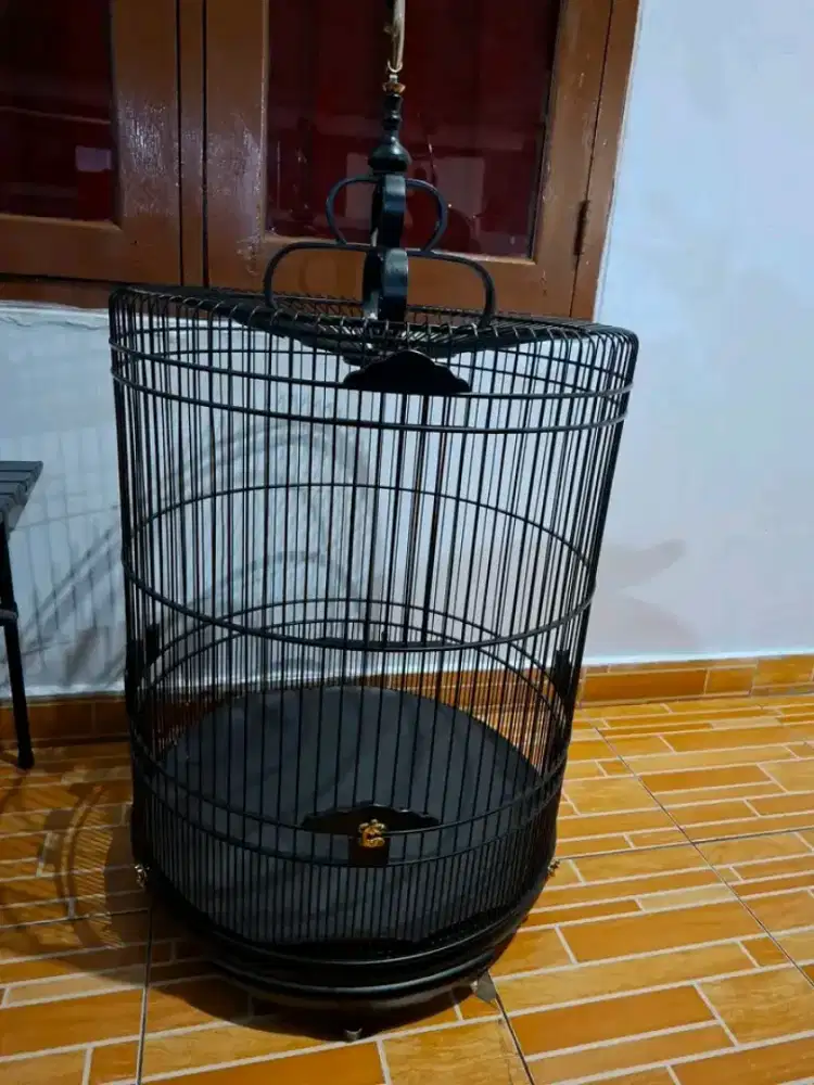sangkar full jati nomor2 murai