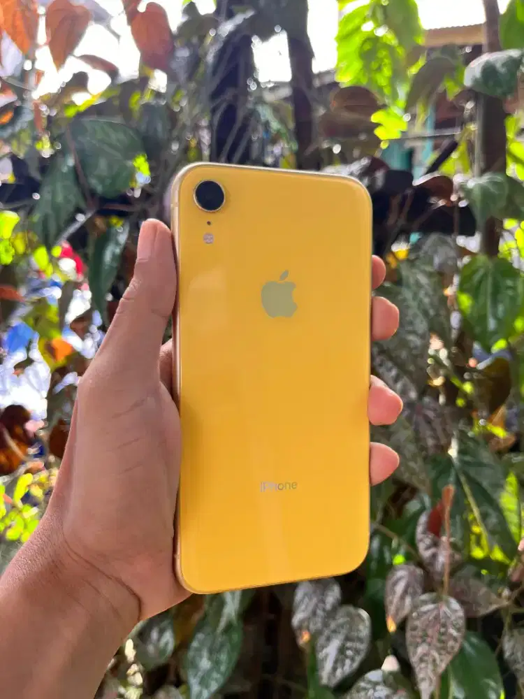 IPHONE XR 64GB KUNING LENGKAP