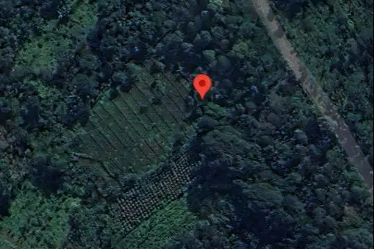 Dijual Tanah Asri 3.100 m² SHM Akses Mobil. Cocok Kebun Investasi