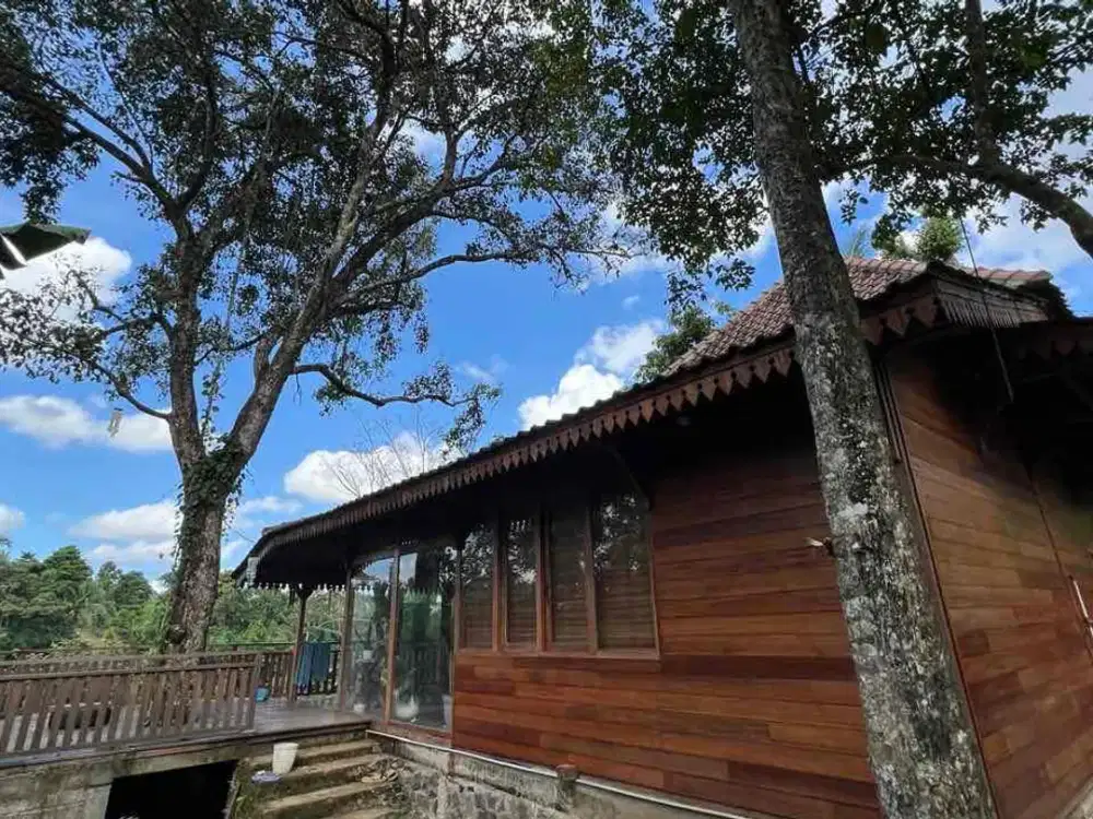 tanah di jual los sungai dengan bangunan rumah kayu siap huni,di tabanan bali