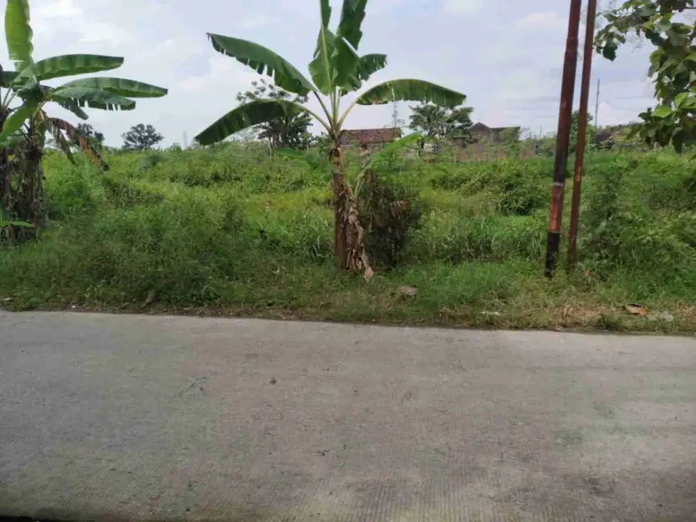Lahan Zona Industri Di Gondangrejo Karanganyar Jawa Tengah