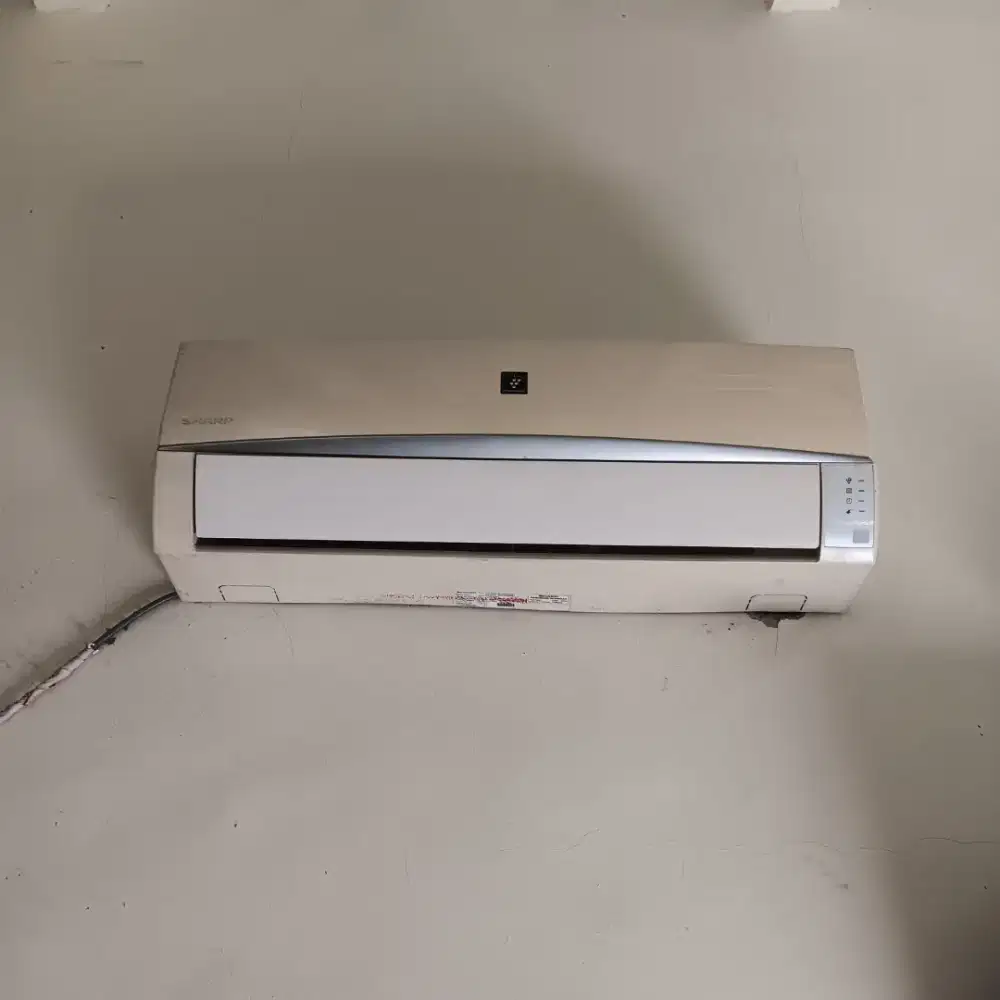 Ac sharp 1/2 pk Fullset Normal