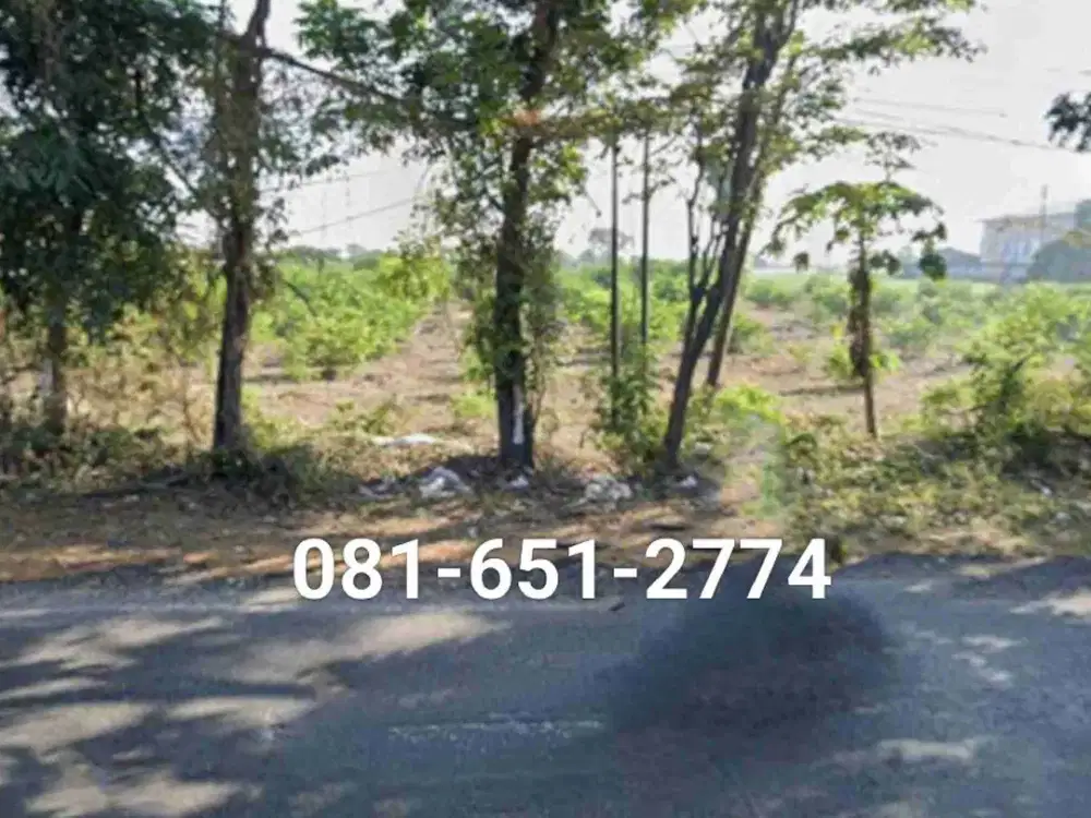 Tanah di Sidayu Gresik