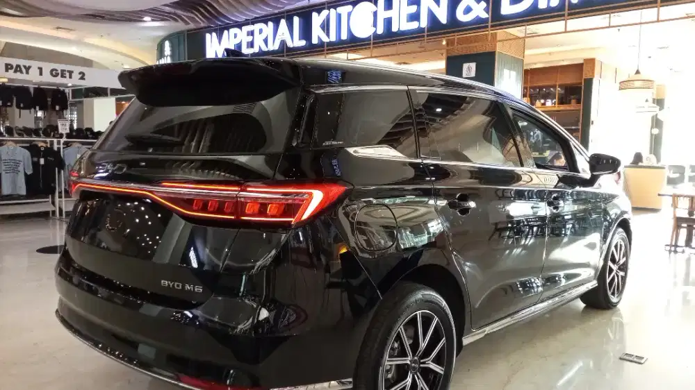 Byd M6 superior 2025