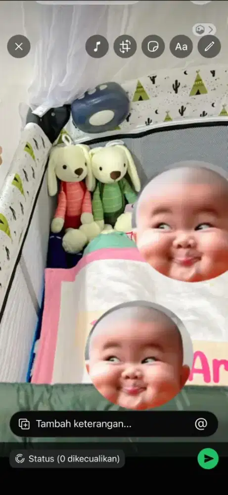 Box Bayi Pliko pemakaian 1 minggu