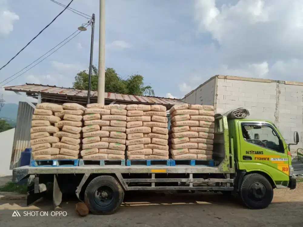 Semen RAJAWALI 50kg