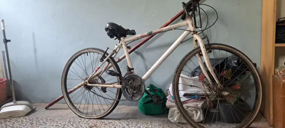 Sepeda warna putih